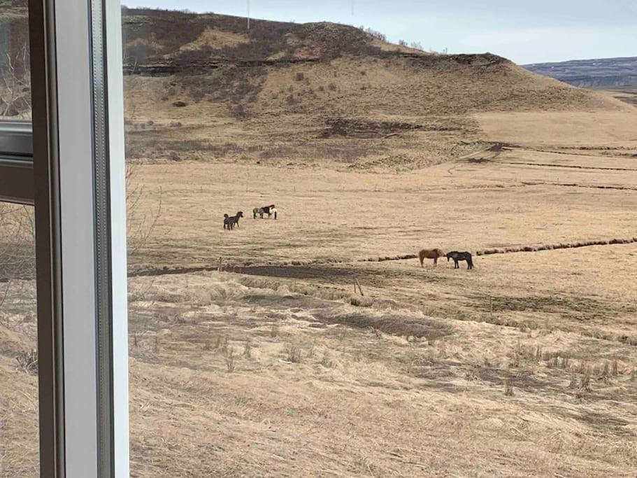 Fell Cottage Reykholt  Εξωτερικό φωτογραφία